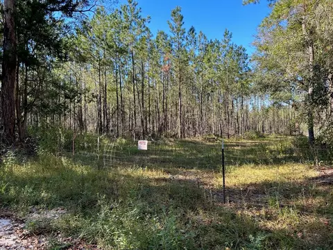 SW Catherine Lane, Lake City, FL 32025
