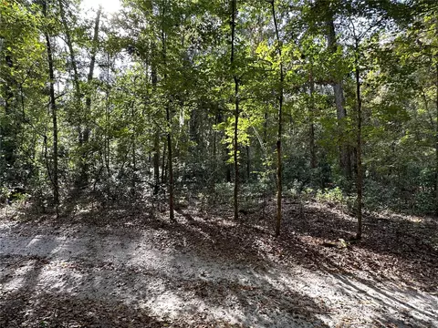 NE 125th Lane, Branford, FL 32008