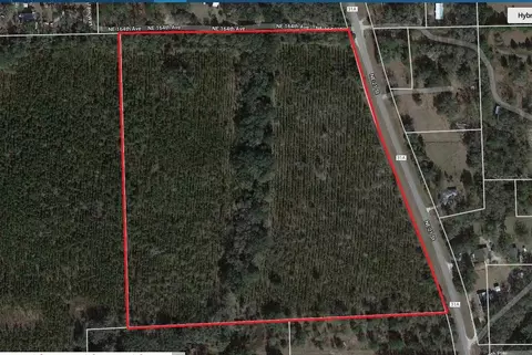 16008 NE 21st St, Gainesville, FL 32609