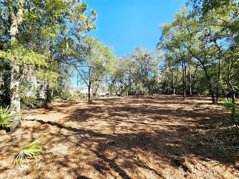 Violet Circle, Interlachen, FL 32148