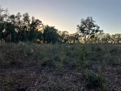 00 NW 70th Ave, Alachua, FL 32615