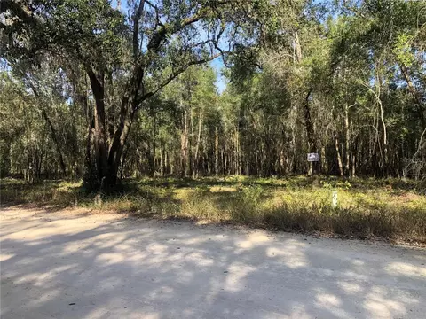 SE 37th Trail, Trenton, FL 32693
