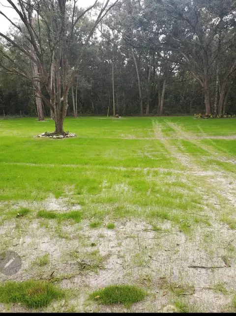 Ne 37th Pl, Williston, FL 32696