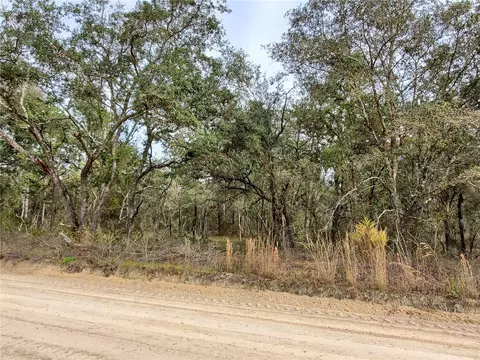 Tbd NE 120 Avenue Ne, Williston, FL 32696