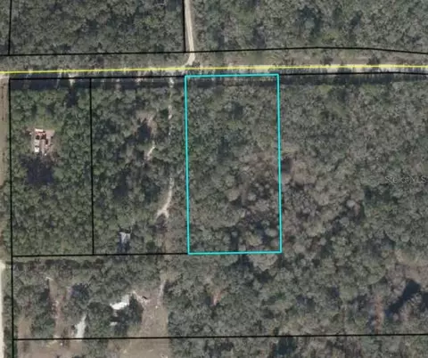 Tbd NE 272nd Avenue, Old Town, FL 32680