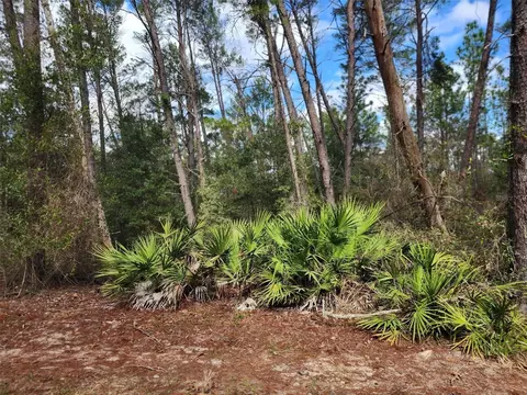 W Woodland Drive, Perry, FL 32348