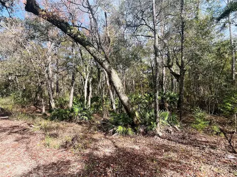 00 NE 967th St, Branford, FL 32008