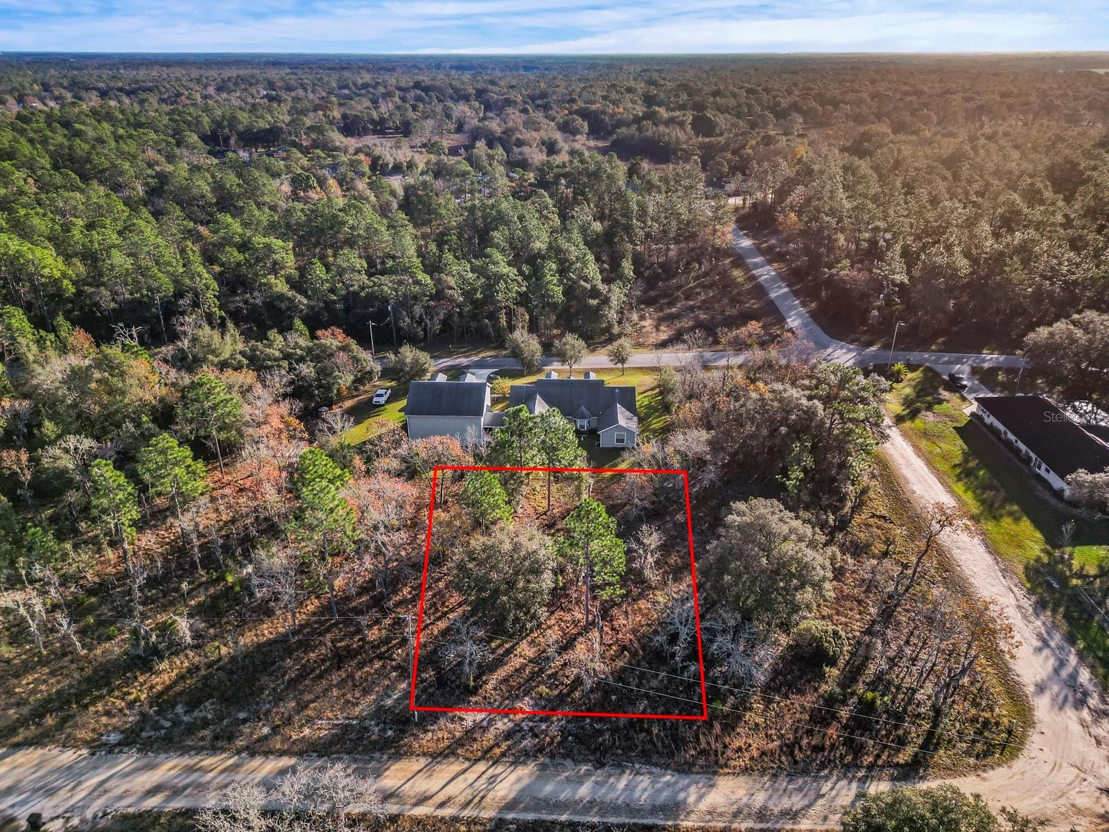 Ne 149th Ct, Williston, FL 32696 photo 1