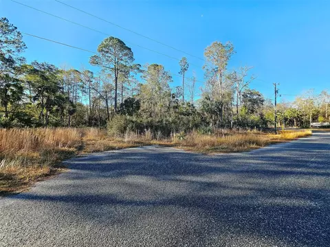 Coastal Oak Lane Nw, Steinhatchee, FL 32359
