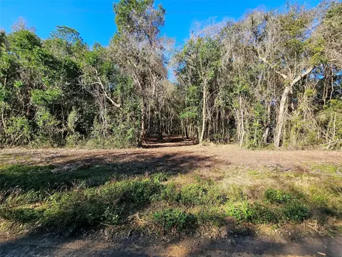Evans Avenue, Interlachen, FL 32148