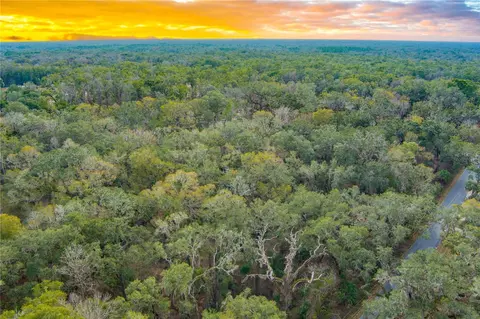 NE 399th Street, Old Town, FL 32680