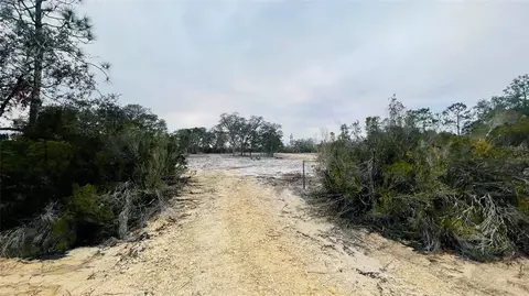 Lot 32 NE 100th Avenue, Bronson, FL 32621
