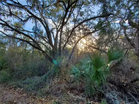 00 NE Gold Dust Rd, Branford, FL 32008