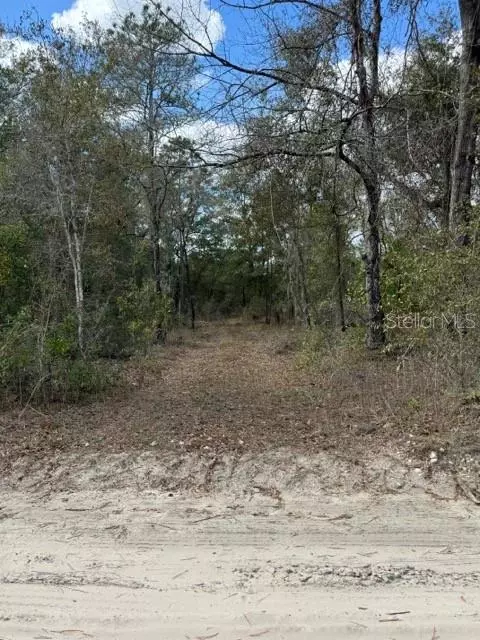 Tbd NE 95 Avenue, Bronson, FL 32621