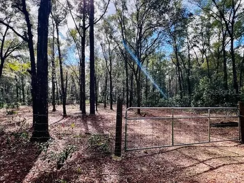 NW 36th Lane, Bell, FL 32619