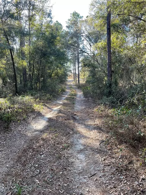 Tbd Ne 69th Place, Bronson, FL 32621