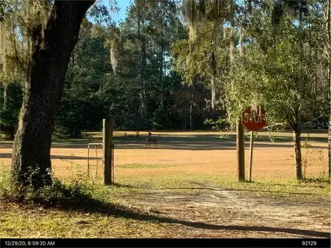 000 SE 11th Ave, Gainesville, FL 32641