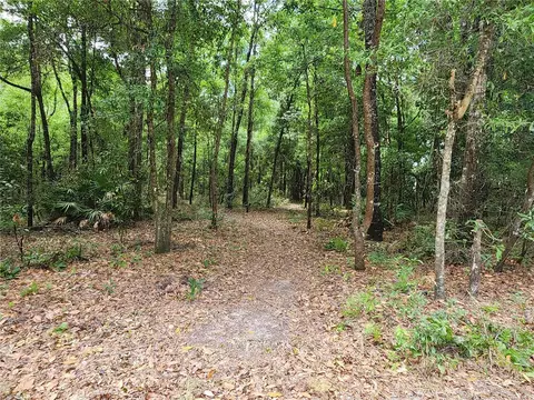 tbd SW Tangerine Dr, Fort White, FL 32038