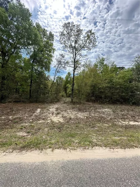 6347 Baylor Ave, Keystone Heights, FL 32656
