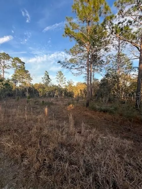 0000 NE 148th Ct, Williston, FL 32696