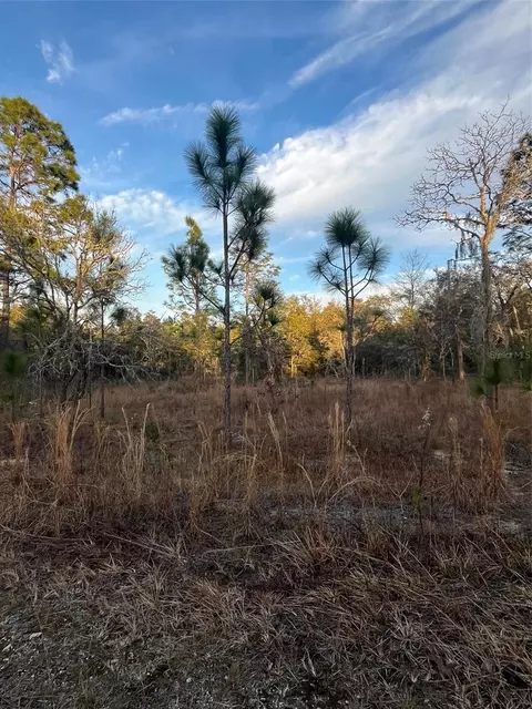 Tba NE 148th Court, Williston, FL 32696