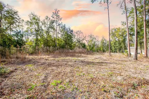SW Newark Drive, Fort White, FL 32038