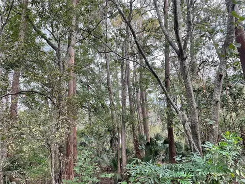 628 NE 15th Ter, Gainesville, FL 32641