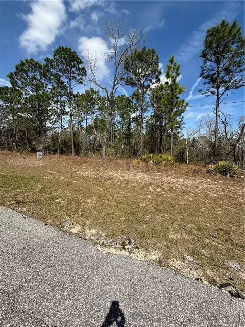 6627 N Bedstrow Blvd, Citrus Springs, FL 34434