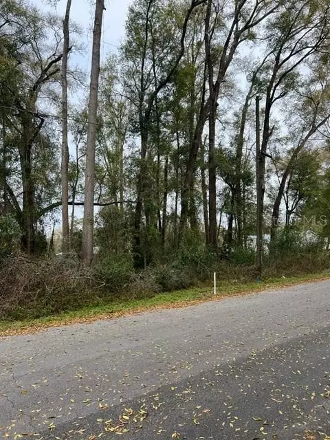 178 NW Th Nw Douglas NW #PARCEL 00421, High Springs, FL 32655