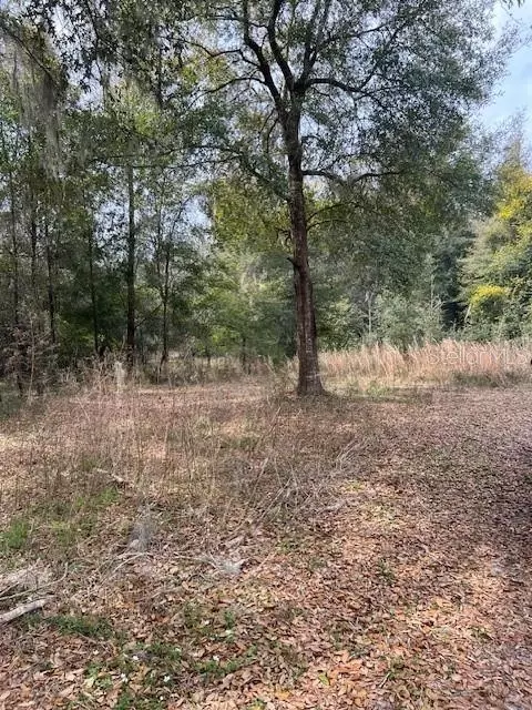 00 County Road Nw 26th, High Springs, FL 32643