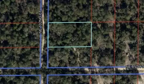 NE 102 Court, Bronson, FL 32621