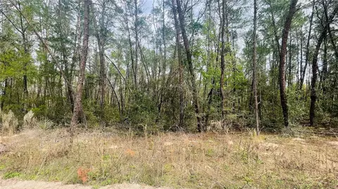Lot 12 NE 139th Avenue, Williston, FL 32696