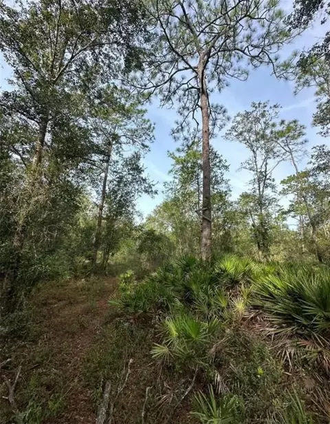 Sw 155th St, Dunnellon, FL 34432