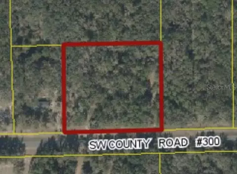 SW County Road 300, Mayo, FL 32066