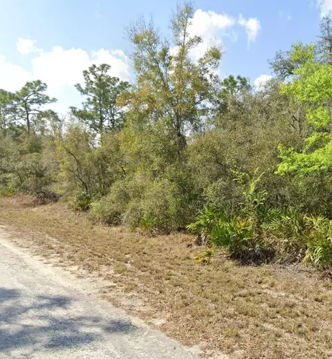 9446 Rousseau St, Webster, FL 33597