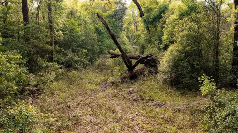 00 NW 177th Pl, High Springs, FL 32643