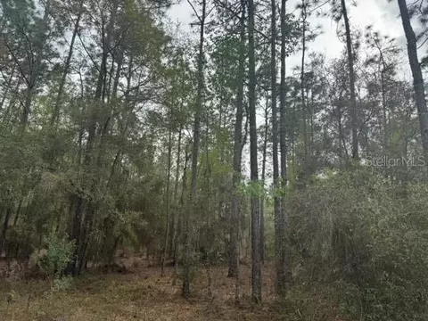 0000 SW 30 Ln, Ocala, FL 34481