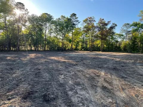 Tbd NE 95th Avenue, Bronson, FL 32621