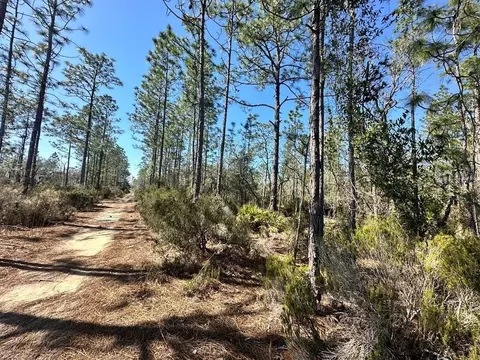 NE 56th Street, Bronson, FL 32621