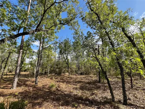 Tbd NE 152nd Court, Williston, FL 32696