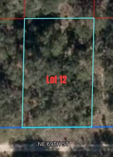 NE 69th Street, Williston, FL 32696