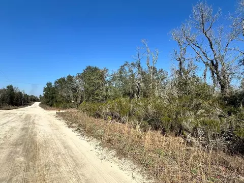 NE 67th Lane, Williston, FL 32696