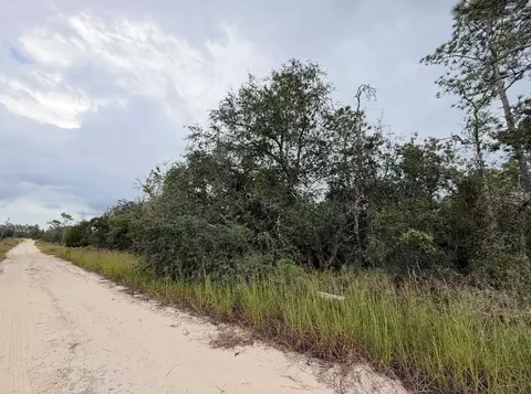 NE 66th Lane, Williston, FL 32696