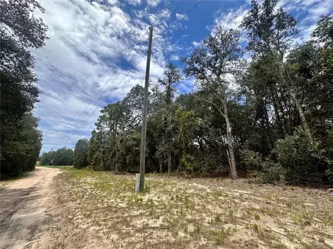 NE 68th Place, Williston, FL 32696