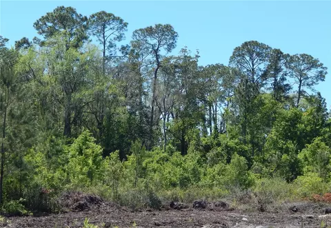 00 NW Union Park Rd, Wellborn, FL 32094
