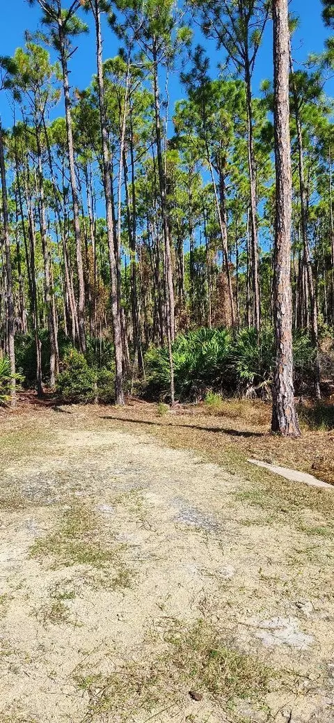 lot9 SW 104 St, Cedar Key, FL 32625