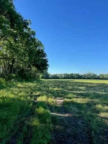 SW 10 Street Sw, Bell, FL 32619
