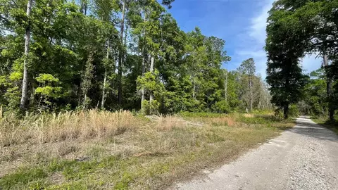 Turkey Trot Road, Florahome, FL 32140