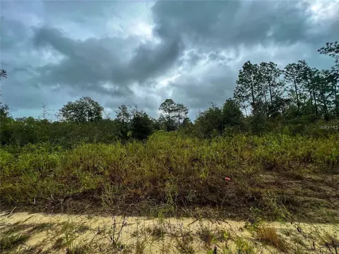 5451 NE 141 Ter, Williston, FL 32696