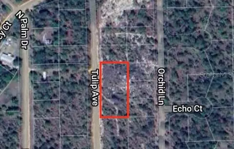 0 Tulip Ave, Interlachen, FL 32148